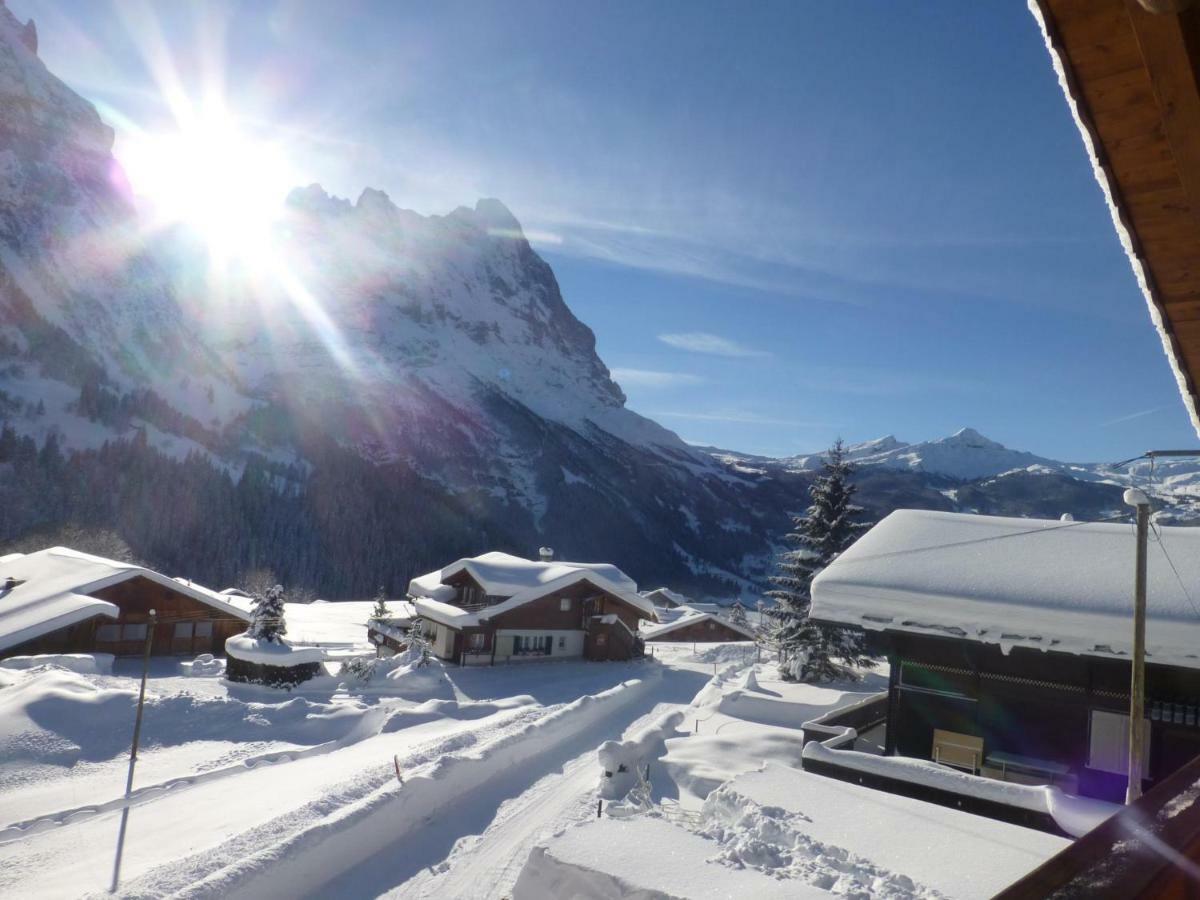 Chalet Verbrunnenhaus Grindelwald Apartment Exterior photo